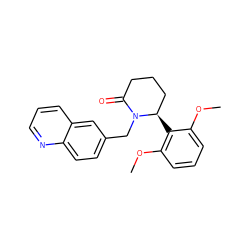 COc1cccc(OC)c1[C@@H]1CCCC(=O)N1Cc1ccc2ncccc2c1 ZINC000103258111