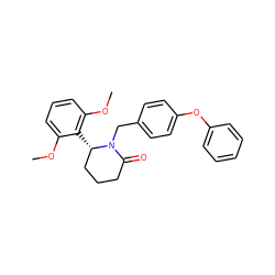 COc1cccc(OC)c1[C@H]1CCCC(=O)N1Cc1ccc(Oc2ccccc2)cc1 ZINC000098176766