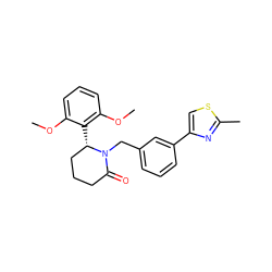 COc1cccc(OC)c1[C@H]1CCCC(=O)N1Cc1cccc(-c2csc(C)n2)c1 ZINC000098176762