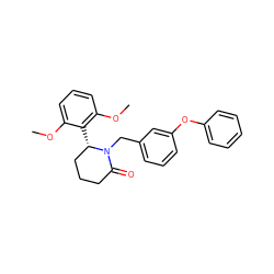 COc1cccc(OC)c1[C@H]1CCCC(=O)N1Cc1cccc(Oc2ccccc2)c1 ZINC000098176771