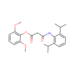 COc1cccc(OC)c1OC(=O)CC(=O)Nc1c(C(C)C)cccc1C(C)C ZINC000027845354