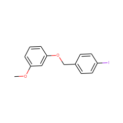 COc1cccc(OCc2ccc(I)cc2)c1 ZINC000088186238