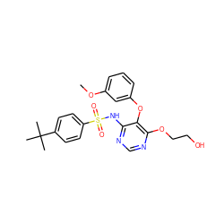 COc1cccc(Oc2c(NS(=O)(=O)c3ccc(C(C)(C)C)cc3)ncnc2OCCO)c1 ZINC000001535471