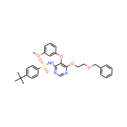 COc1cccc(Oc2c(NS(=O)(=O)c3ccc(C(C)(C)C)cc3)ncnc2OCCOCc2ccccc2)c1 ZINC000026994136