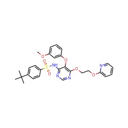 COc1cccc(Oc2c(NS(=O)(=O)c3ccc(C(C)(C)C)cc3)ncnc2OCCOc2ccccn2)c1 ZINC000027077729