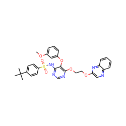 COc1cccc(Oc2c(NS(=O)(=O)c3ccc(C(C)(C)C)cc3)ncnc2OCCOc2cnc3ccccc3n2)c1 ZINC000027073495