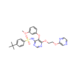 COc1cccc(Oc2c(NS(=O)(=O)c3ccc(C(C)(C)C)cc3)ncnc2OCCOc2cnccn2)c1 ZINC000027074893