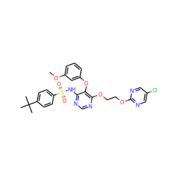 COc1cccc(Oc2c(NS(=O)(=O)c3ccc(C(C)(C)C)cc3)ncnc2OCCOc2ncc(Cl)cn2)c1 ZINC000027078636