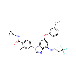 COc1cccc(Oc2cc(NCCC(F)(F)F)c3ncn(-c4ccc(C(=O)NC5CC5)c(C)c4)c3c2)c1 ZINC000147663600