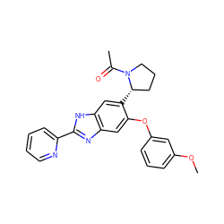 COc1cccc(Oc2cc3nc(-c4ccccn4)[nH]c3cc2[C@H]2CCCN2C(C)=O)c1 ZINC000043065527