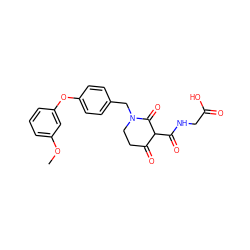 COc1cccc(Oc2ccc(CN3CCC(=O)C(C(=O)NCC(=O)O)C3=O)cc2)c1 ZINC000208176933