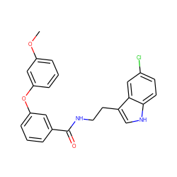 COc1cccc(Oc2cccc(C(=O)NCCc3c[nH]c4ccc(Cl)cc34)c2)c1 ZINC000205318600