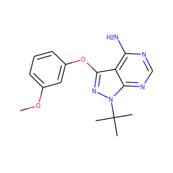 COc1cccc(Oc2nn(C(C)(C)C)c3ncnc(N)c23)c1 ZINC000143898843