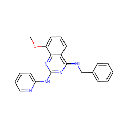 COc1cccc2c(NCc3ccccc3)nc(Nc3ccccn3)nc12 ZINC000221017954