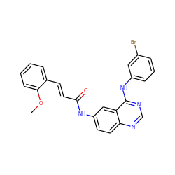 COc1ccccc1/C=C/C(=O)Nc1ccc2ncnc(Nc3cccc(Br)c3)c2c1 ZINC000072108782