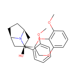 COc1ccccc1[C@@]1(O)C[C@@H]2CC[C@H](C1)N2C[C@H]1COc2cccc(OC)c2O1 ZINC000100984928