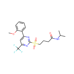 COc1ccccc1-c1cc(C(F)(F)F)nc(S(=O)(=O)CCCC(=O)NC(C)C)n1 ZINC000003655042