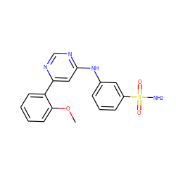 COc1ccccc1-c1cc(Nc2cccc(S(N)(=O)=O)c2)ncn1 ZINC000102295940