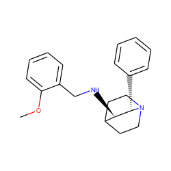 COc1ccccc1CN[C@@H]1C2CCN(CC2)[C@H]1c1ccccc1 ZINC000022443816