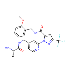 COc1ccccc1CNC(=O)c1cc(C(F)(F)F)nn1-c1cc(CNC(=O)[C@H](C)N)ccn1 ZINC000040404290