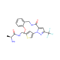 COc1ccccc1CNC(=O)c1cc(C(F)(F)F)nn1-c1csc(CNC(=O)[C@H](C)N)c1 ZINC000040406065