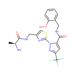 COc1ccccc1CNC(=O)c1cc(C(F)(F)F)nn1-c1nc(CNC(=O)[C@H](C)N)cs1 ZINC000040409200