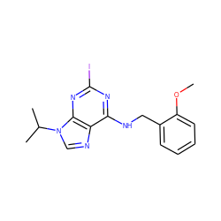 COc1ccccc1CNc1nc(I)nc2c1ncn2C(C)C ZINC000013834620