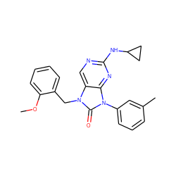 COc1ccccc1Cn1c(=O)n(-c2cccc(C)c2)c2nc(NC3CC3)ncc21 ZINC000040914075