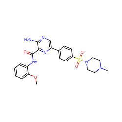 COc1ccccc1NC(=O)c1nc(-c2ccc(S(=O)(=O)N3CCN(C)CC3)cc2)cnc1N ZINC000043053299