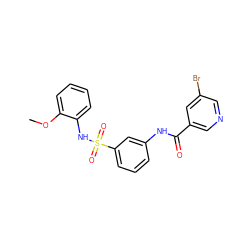 COc1ccccc1NS(=O)(=O)c1cccc(NC(=O)c2cncc(Br)c2)c1 ZINC000009511936