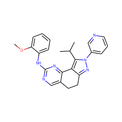 COc1ccccc1Nc1ncc2c(n1)-c1c(nn(-c3cccnc3)c1C(C)C)CC2 ZINC000169702228