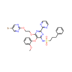 COc1ccccc1Oc1c(NS(=O)(=O)CCCc2ccccc2)nc(-c2ncccn2)nc1OCCOc1ncc(Br)cn1 ZINC000095553286