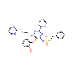 COc1ccccc1Oc1c(NS(=O)(=O)CCc2ccccc2)nc(-c2ncccn2)nc1OCCOc1ncccn1 ZINC000095554443