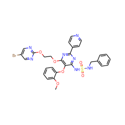 COc1ccccc1Oc1c(NS(=O)(=O)NCc2ccccc2)nc(-c2ccncc2)nc1OCCOc1ncc(Br)cn1 ZINC000095553665