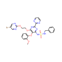 COc1ccccc1Oc1c(NS(=O)(=O)NCc2ccccc2)nc(-c2ncccn2)nc1OCCOc1ncc(Br)cn1 ZINC000095552081
