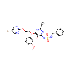 COc1ccccc1Oc1c(NS(=O)(=O)NCc2ccccc2)nc(C2CC2)nc1OCCOc1ncc(Br)cn1 ZINC000095552854