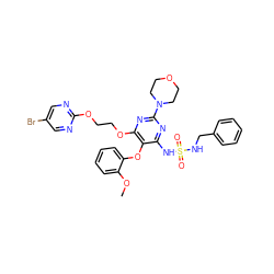 COc1ccccc1Oc1c(NS(=O)(=O)NCc2ccccc2)nc(N2CCOCC2)nc1OCCOc1ncc(Br)cn1 ZINC000095553908