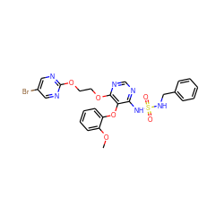 COc1ccccc1Oc1c(NS(=O)(=O)NCc2ccccc2)ncnc1OCCOc1ncc(Br)cn1 ZINC000095557550