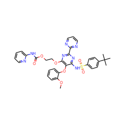 COc1ccccc1Oc1c(NS(=O)(=O)c2ccc(C(C)(C)C)cc2)nc(-c2ncccn2)nc1OCCOC(=O)Nc1ccccn1 ZINC000003980528