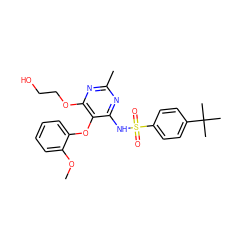 COc1ccccc1Oc1c(NS(=O)(=O)c2ccc(C(C)(C)C)cc2)nc(C)nc1OCCO ZINC000026375471