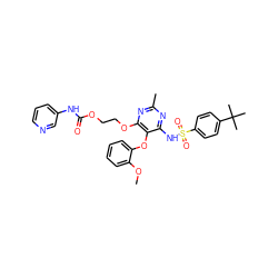 COc1ccccc1Oc1c(NS(=O)(=O)c2ccc(C(C)(C)C)cc2)nc(C)nc1OCCOC(=O)Nc1cccnc1 ZINC000026295375