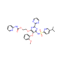 COc1ccccc1Oc1c(NS(=O)(=O)c2ccc(C(C)C)cn2)nc(-c2ncccn2)nc1OCCOC(=O)Nc1ccccn1 ZINC000026291059