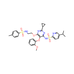 COc1ccccc1Oc1c(NS(=O)(=O)c2ccc(C(C)C)cn2)nc(C2CC2)nc1OCCNS(=O)(=O)c1ccc(C)cc1 ZINC000028086362