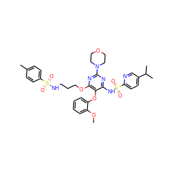 COc1ccccc1Oc1c(NS(=O)(=O)c2ccc(C(C)C)cn2)nc(N2CCOCC2)nc1OCCCNS(=O)(=O)c1ccc(C)cc1 ZINC000028019891