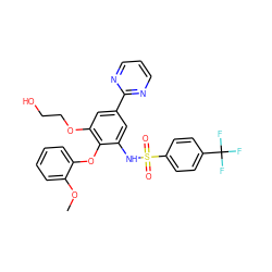 COc1ccccc1Oc1c(NS(=O)(=O)c2ccc(C(F)(F)F)cc2)cc(-c2ncccn2)cc1OCCO ZINC000473152876