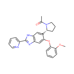 COc1ccccc1Oc1cc2nc(-c3ccccn3)[nH]c2cc1[C@H]1CCCN1C(C)=O ZINC000043019164