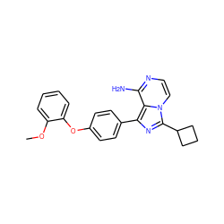 COc1ccccc1Oc1ccc(-c2nc(C3CCC3)n3ccnc(N)c23)cc1 ZINC000096168224