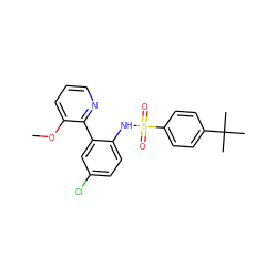 COc1cccnc1-c1cc(Cl)ccc1NS(=O)(=O)c1ccc(C(C)(C)C)cc1 ZINC000474608003