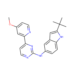 COc1ccnc(-c2ccnc(Nc3ccc4[nH]c(C(C)(C)C)cc4c3)n2)c1 ZINC000144180609