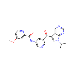 COc1ccnc(C(=O)Nc2cncc(C(=O)c3cn(C(C)C)c4ncncc34)c2)c1 ZINC000169707941